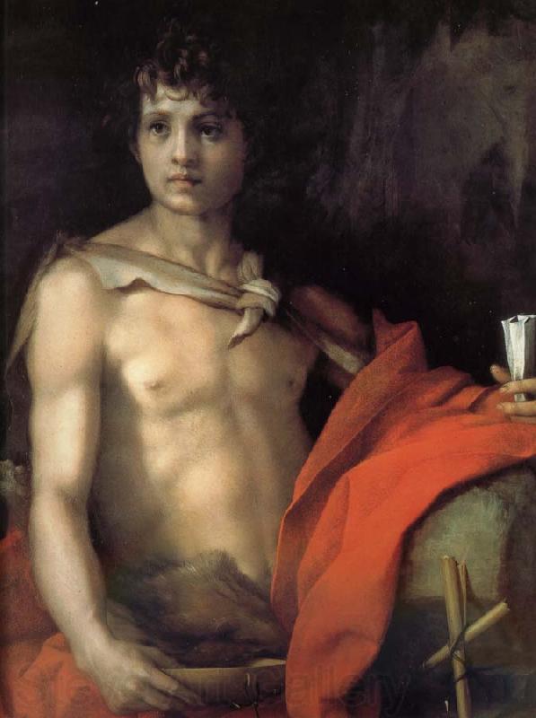 Andrea del Sarto Johannes as juvenile France oil painting art